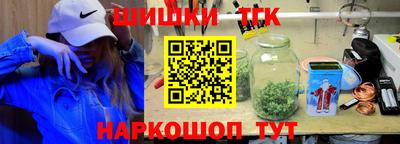 тгк Дмитров