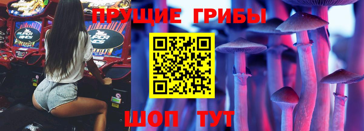 Галлюциногенные грибы мухоморы Волжский